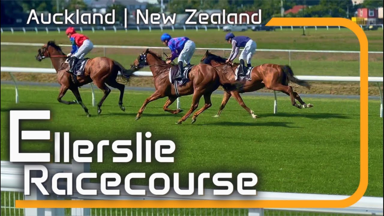 Ellerslie New Zealand Racecourse Tour