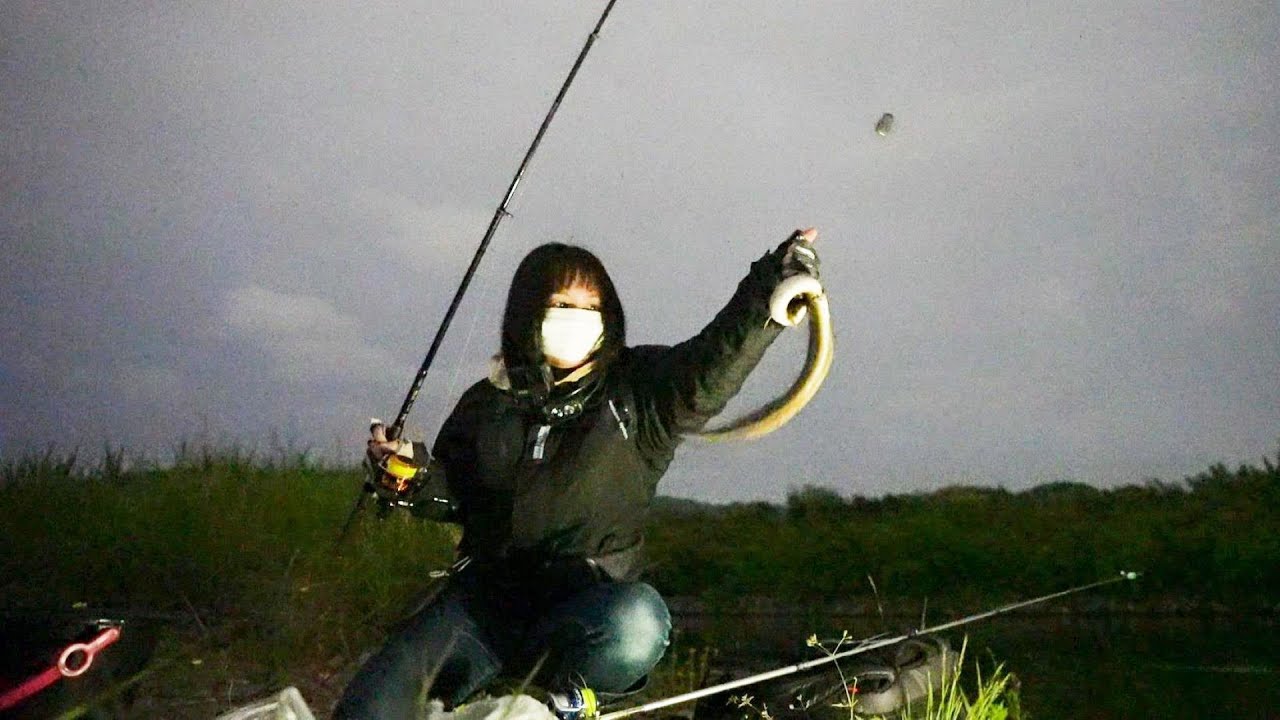 ウナギの穴場発見！