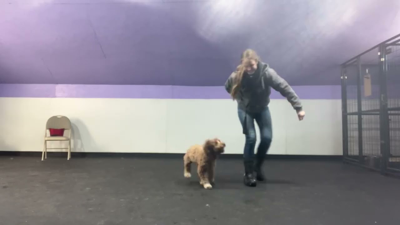 Pip- intro to fetch