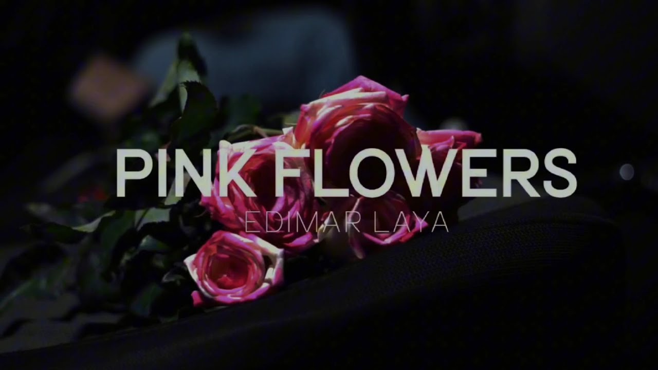 Edimar Laya - Pink Flowers (Official Video)