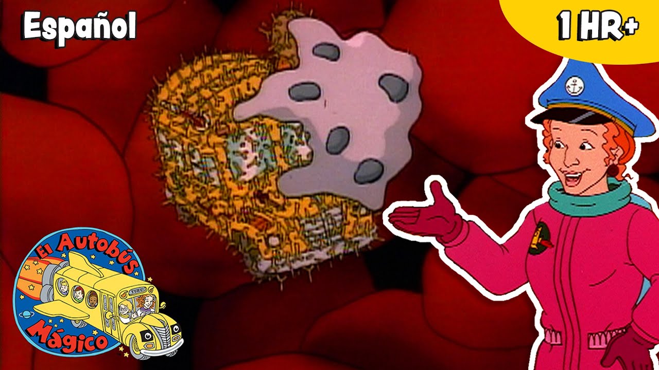 El sistema inmunológico | Episodios completos | Ciencia | El Autobús Mágico