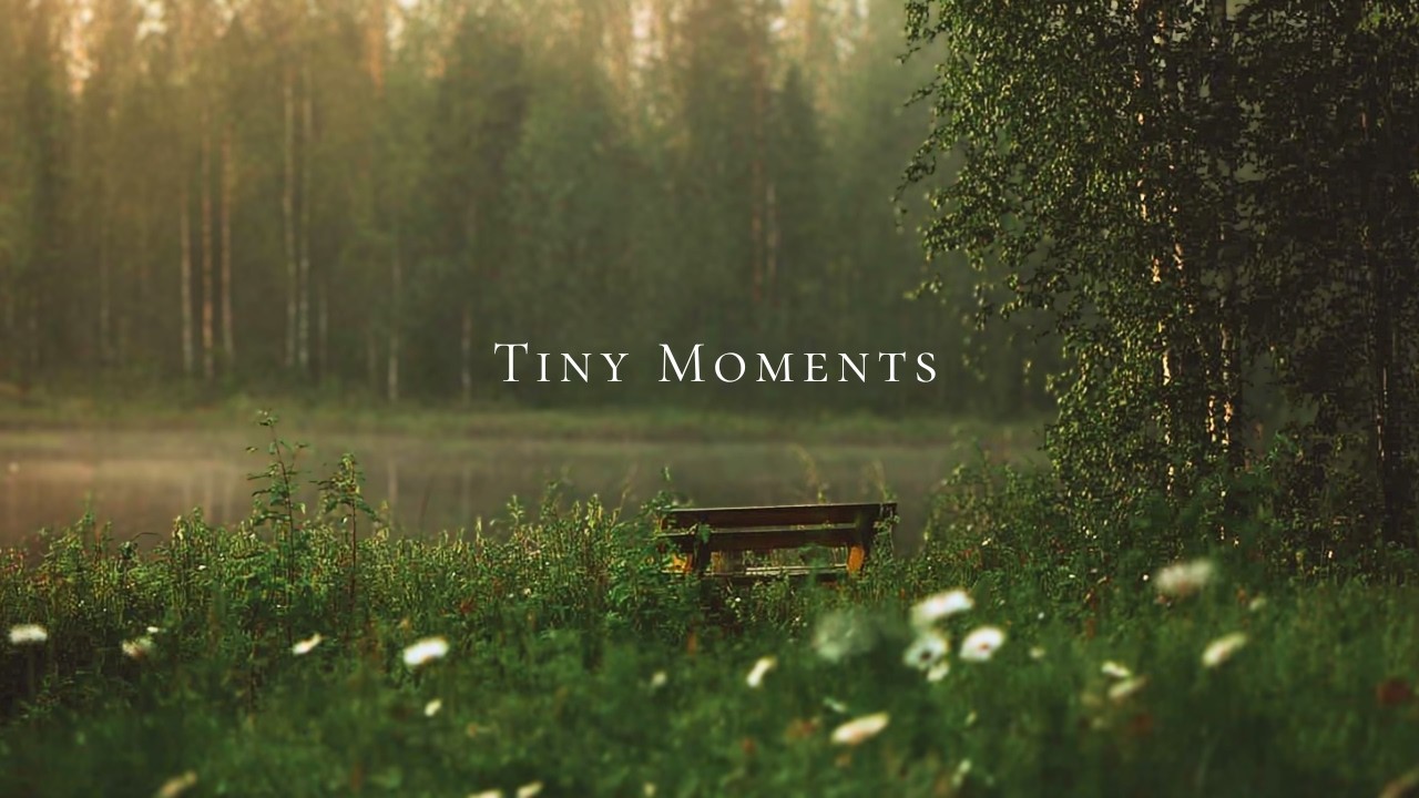 a gentle piano playlist for slow days