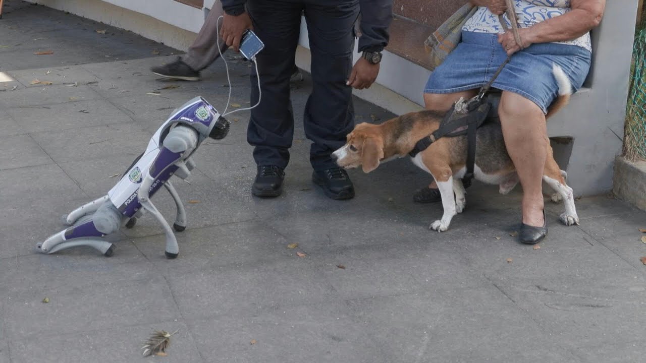 AI-powered robot police dogs take a walk in Venezuela's streets | AFP