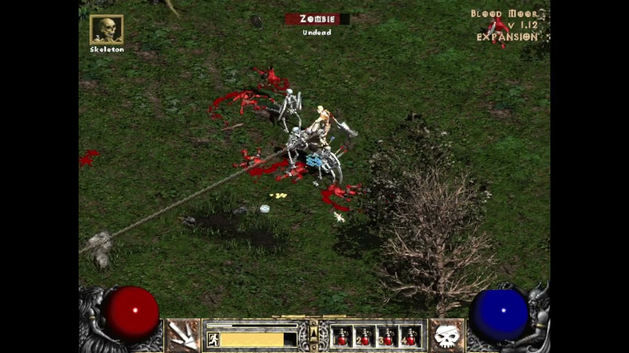 This is why you play Diablo 2 LoD Summonmancer!