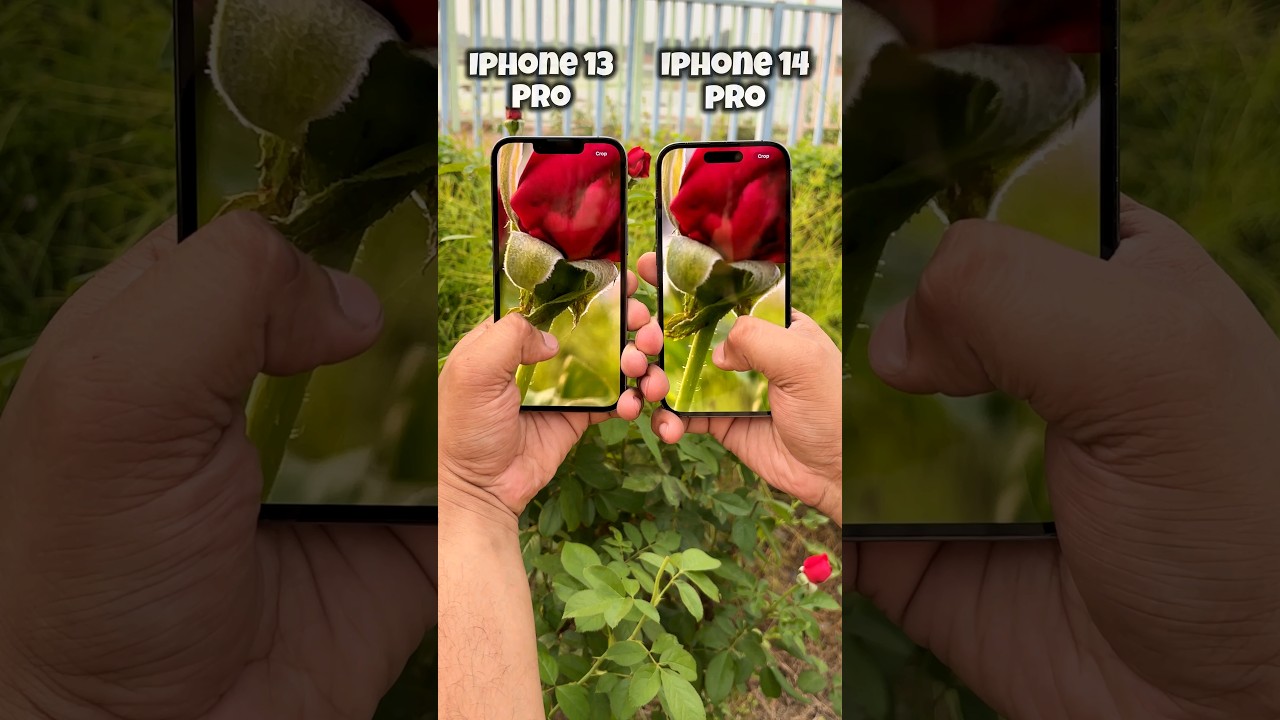 Iphone 13 Pro vs Iphone 14 Pro Camera Test 