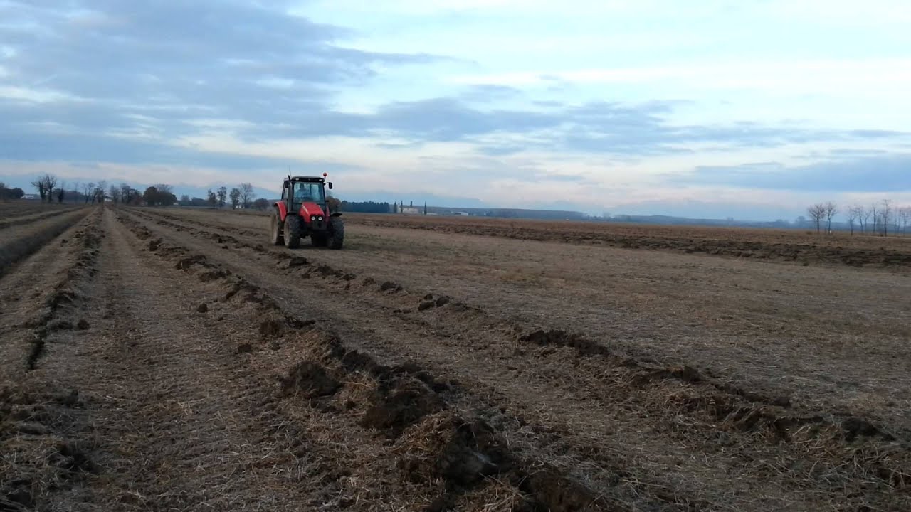Ripuntatura profonda a Sella di Rivignano  