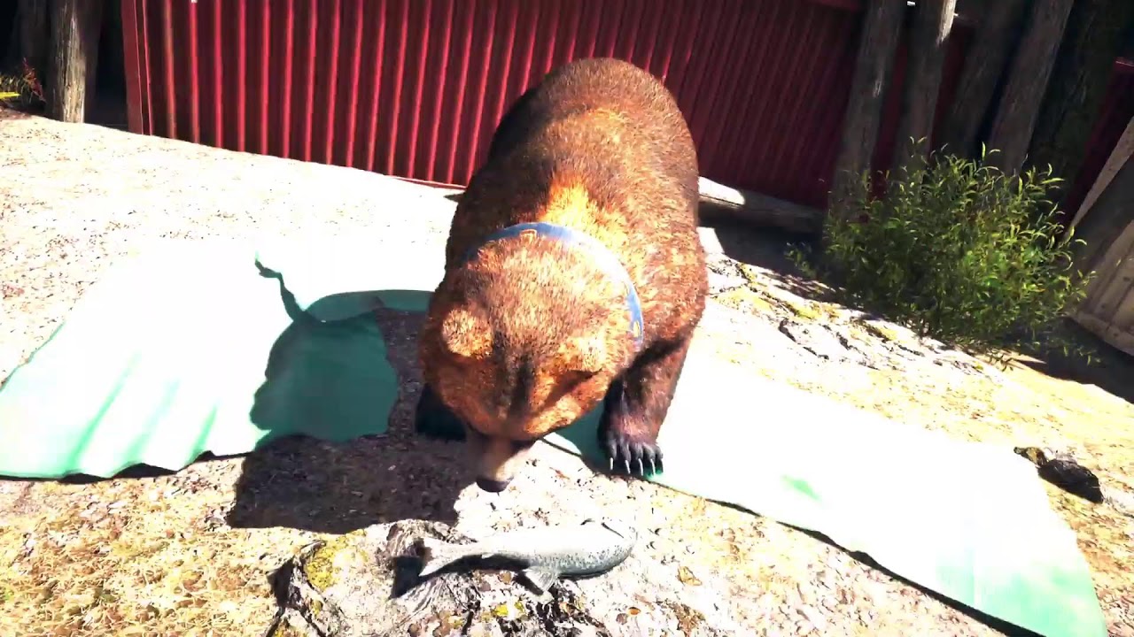 Far Cry 5, Parte 3 Play 5 Gameplay!