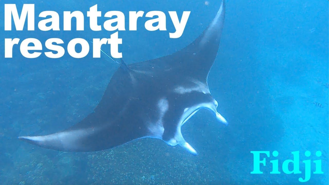 Mantaray resort : Yasawa island hopping 4/5 (Fidji)