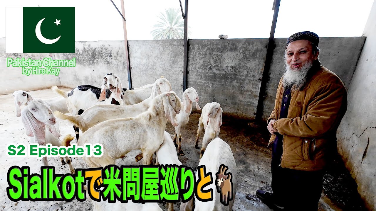 シアールコートで米問屋巡り（EP13 2024年12月撮影）