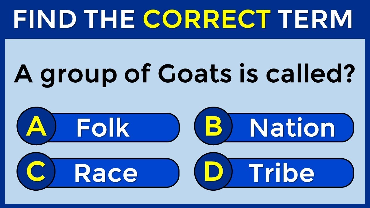 Vocabulary Challenge: Find The Correct Term! #challenge 23