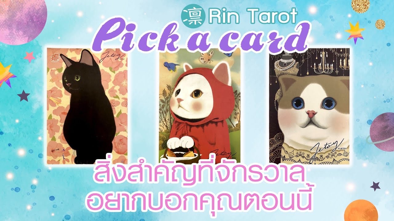 Pick a Card ทำนายดวง สิ่งสำคัญที่จักรวาลอยากบอกคุณตอนนี้ มารับพลังงานบวกกัน  Timeless