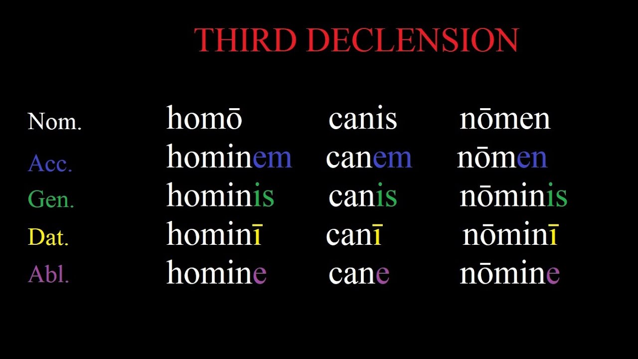 The Third Declension in Latin Made Simple | Easy Latin Grammar Lessons
