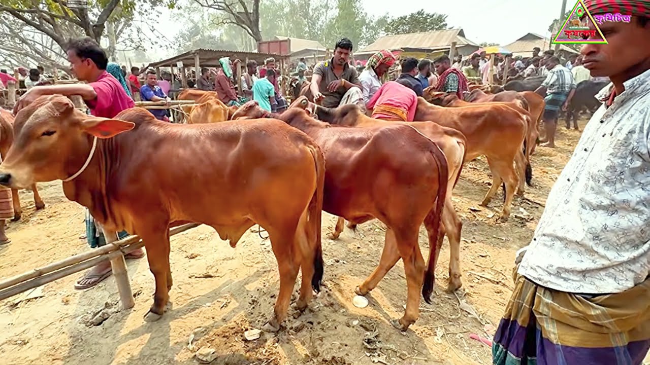 @আজ ২৭ ফেব্রুয়ারি ২০২৬