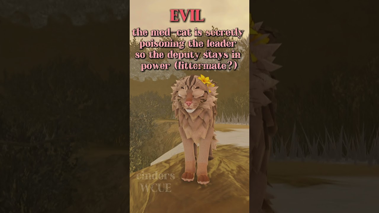 unique rp ideas // medicine cat edition! // PART 1