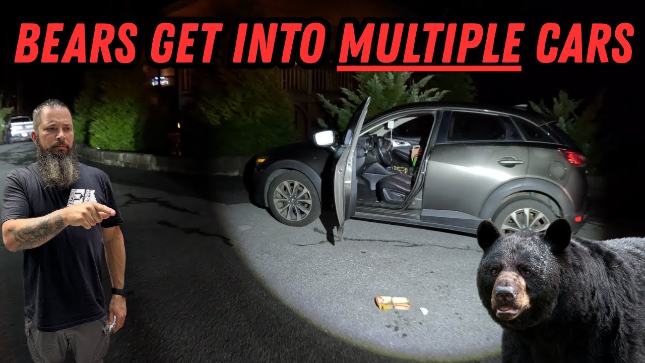 Cars Are On The Menu Tonight! | Winching & PD Calls