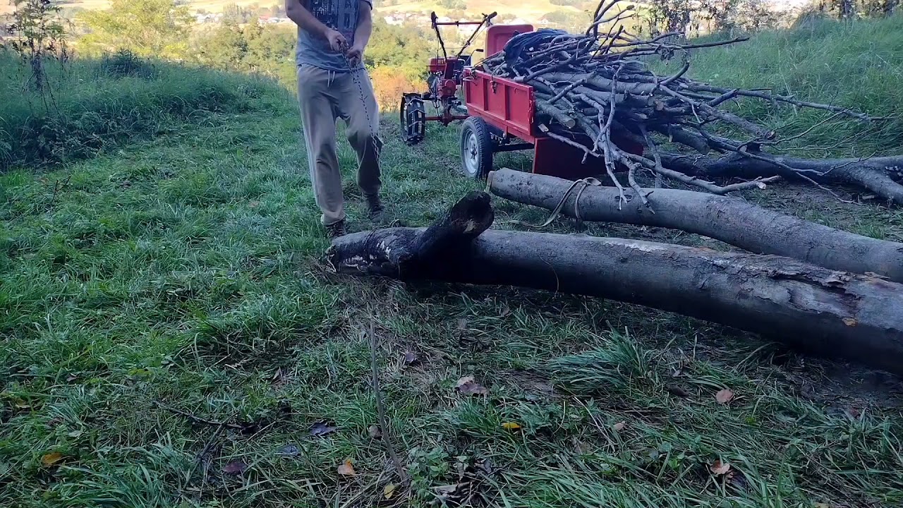 Cu motocultorul Energo de 13 CP la pădure după lemne