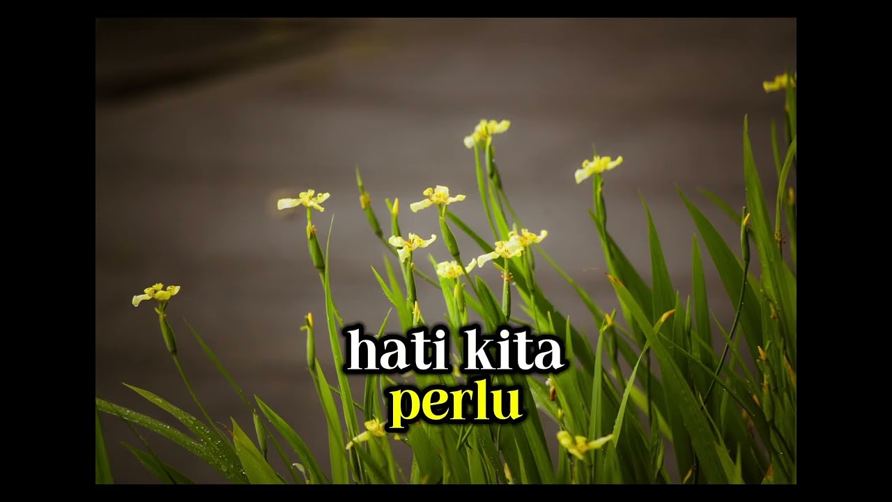 SULITNYA MENGAMPUNI