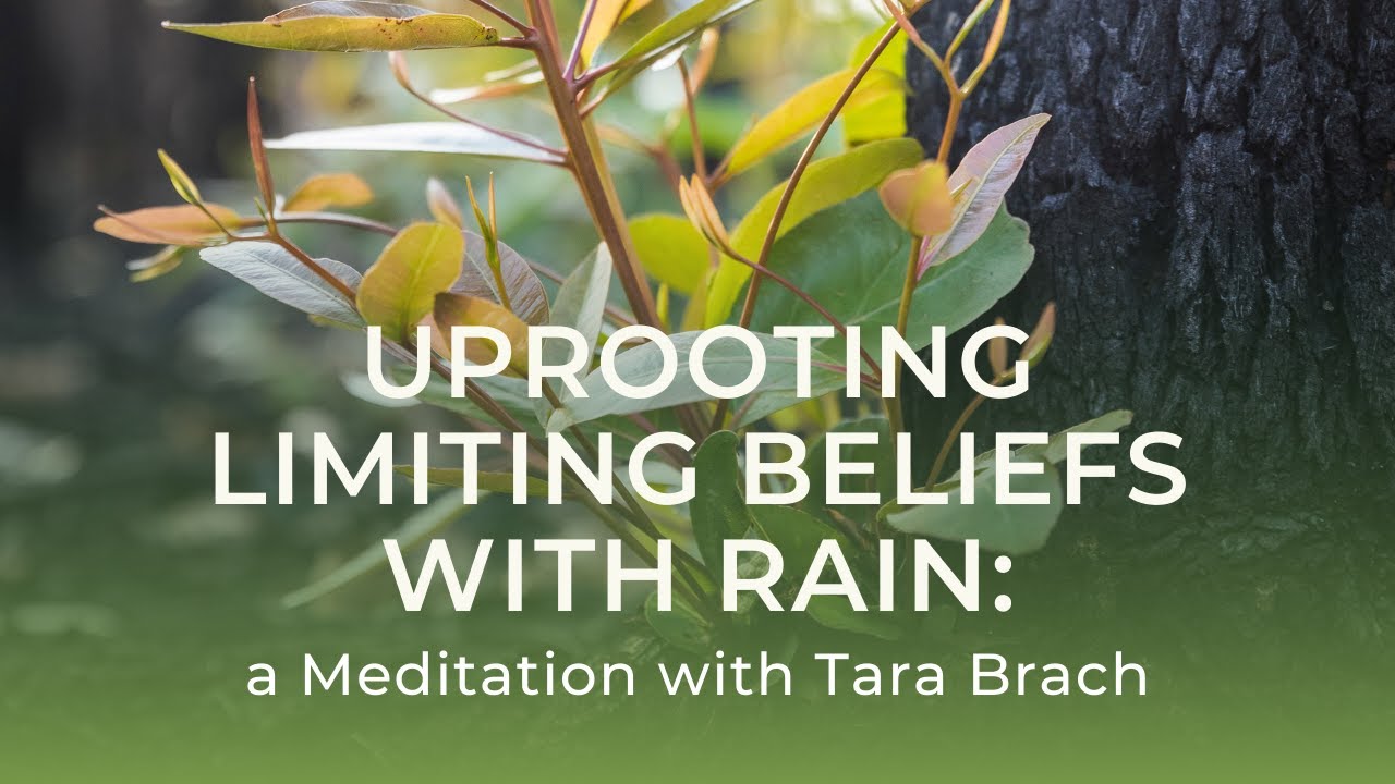 RAIN Meditation: Transform Limiting Beliefs with Tara Brach