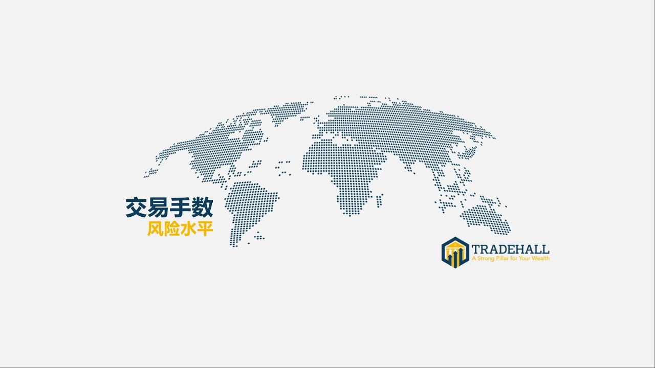 交易手数 风险水平