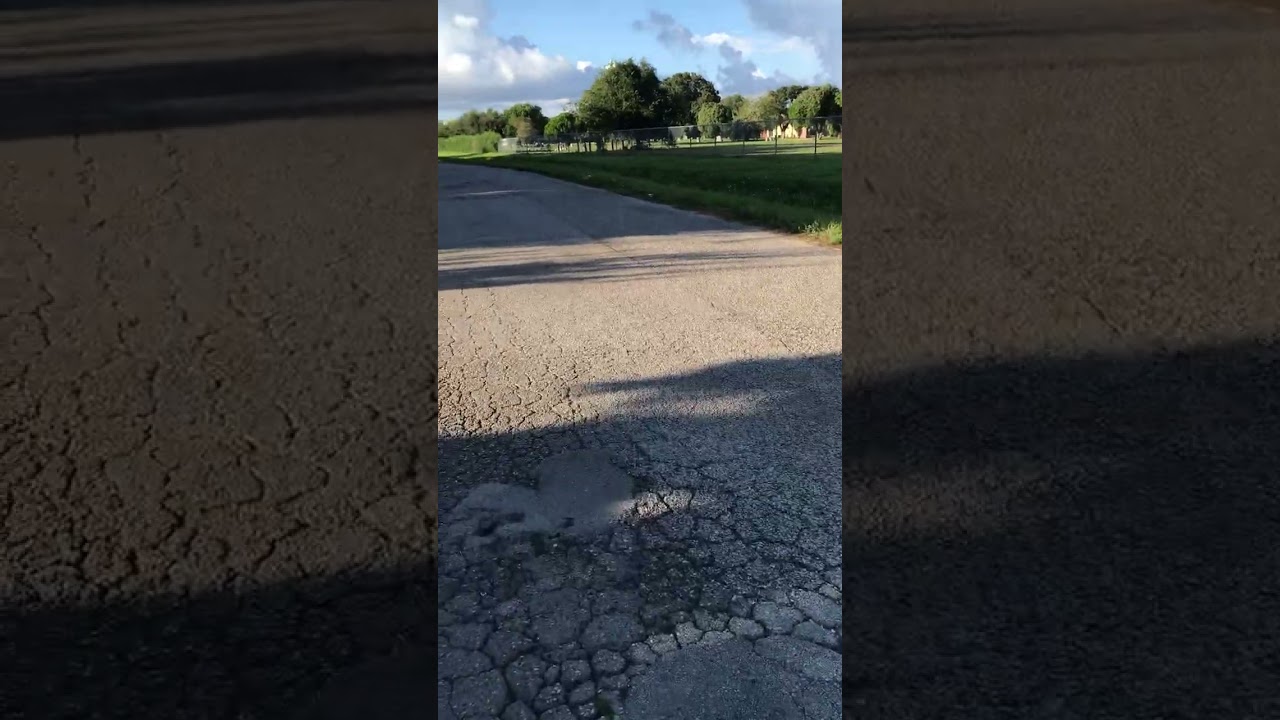 My morning walk