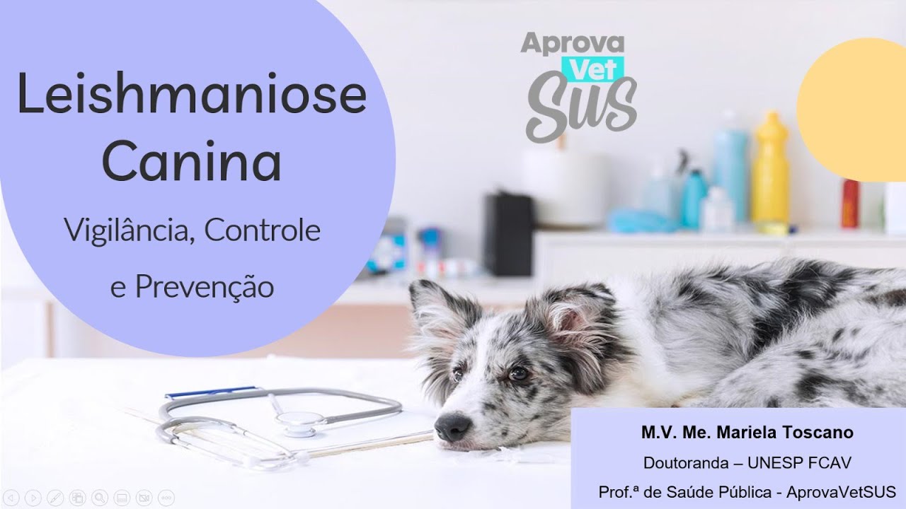 Controle e Prevenção da Leishmaniose Canina