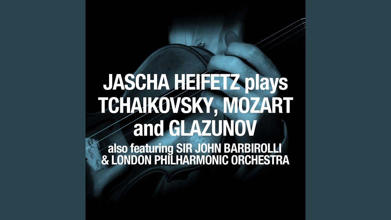 Concerto in D Major for Violin and Orchestra, Op. 35: I. Allegro moderato