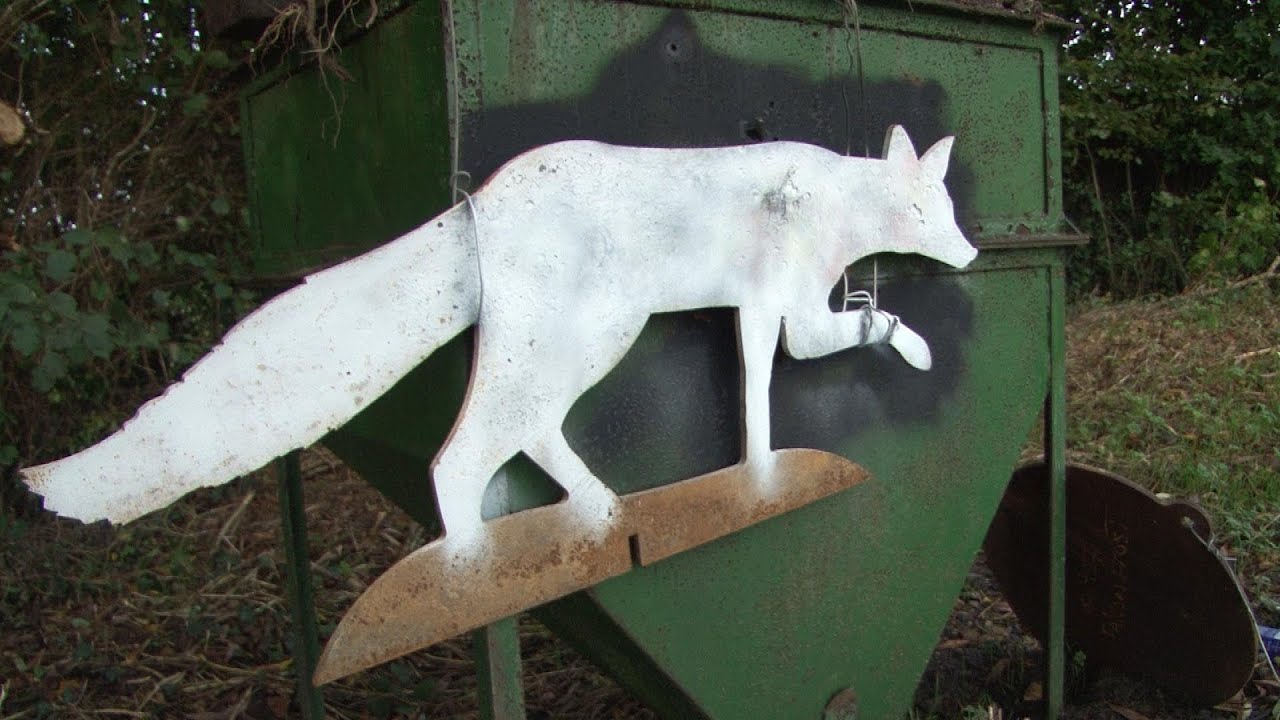 Budget foxing rifle review