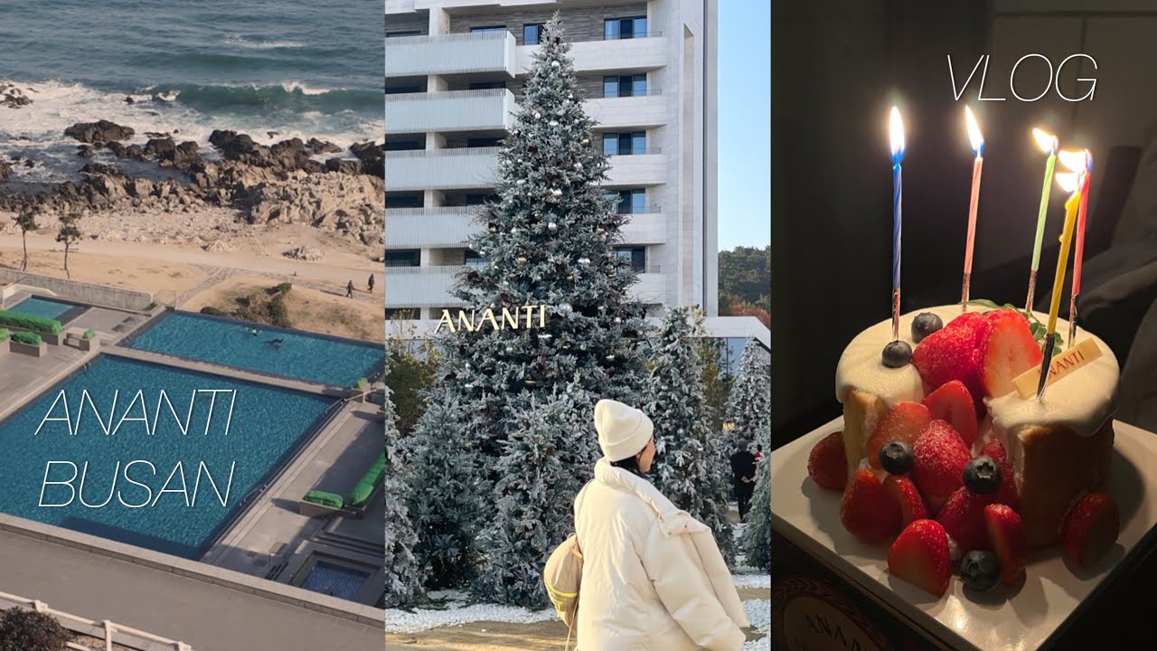 12월 아난티 앳 부산 코브 스위트룸 2박 3일 호캉스, 누구보다 알차게 보낸 여행 기록 (수영장, 라운지, 조식, 일출)
