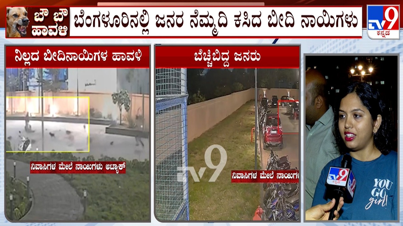 Stray Dog Menace In Bengaluru's Ahmed Serenity Apartment |  ಜನರ ನೆಮ್ಮದಿ ಕಸಿದ ಬೀದಿ ನಾಯಿಗಳು