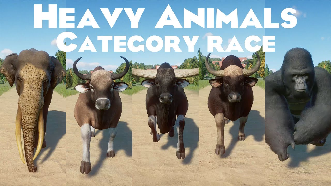 Heavy Animals Races in Planet Zoo included Elephant, Jersey Cow, Kouprey, Mountain Gorilla & etc