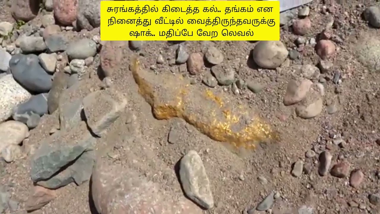 சுரங்கத்தில் கிடைத்த கல்.. தங்கம் என நினைத்து வைத்திருந்தவருக்கு ஷாக்.. மதிப்பே வேற லெவல்  #vedio