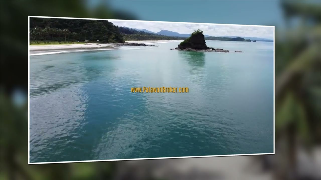 Prime Lot: Beachfront Property for Sale in Long Beach, Alimanguan, San Vicente, Palawan, Philippines