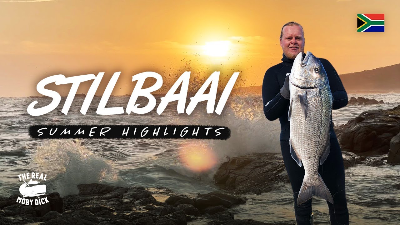 Stilbaai Spearfishing Highlights | Catch & Cook