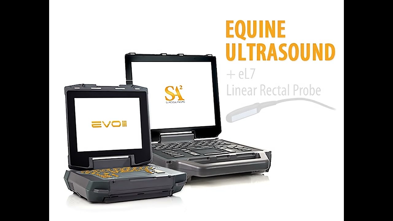 EVO3 + SA2 Equine Ultrasound