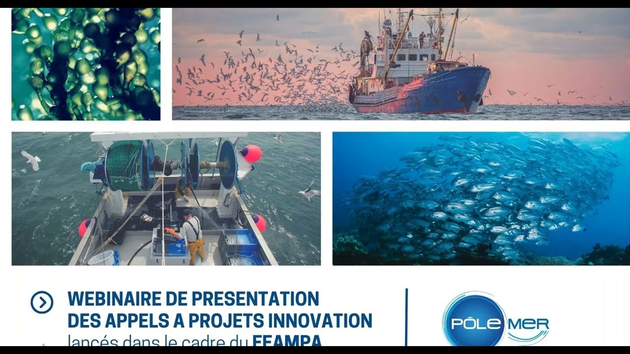 Webinaire de pr&eacute;sentation des dispositifs de financement du FEAMPA