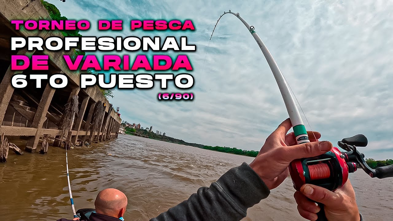 HERMOSA PESCA Y PODIO EN TORNEO DE PESCA DE VARIADA (PROFESIONAL)APREND&Eacute; NUESTRA ESTRATEGIA! | FC 12