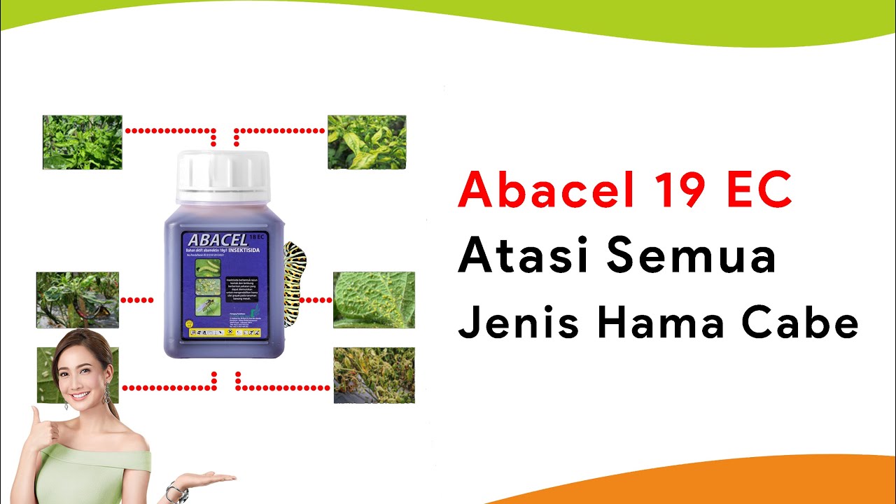 Insektisida Terlaris! Abacel 18 EC, Spesialis Obat Keriting Daun