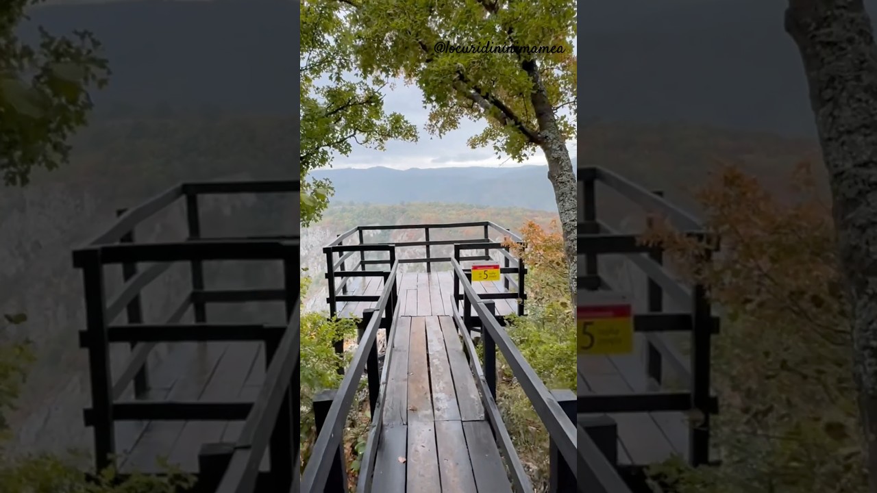 Viewpoint Ploce, Veliki &Scaron;trbac, Parcul Național Djerdap Serbia 2024 #shortsfeed #shortsvideo #shorts