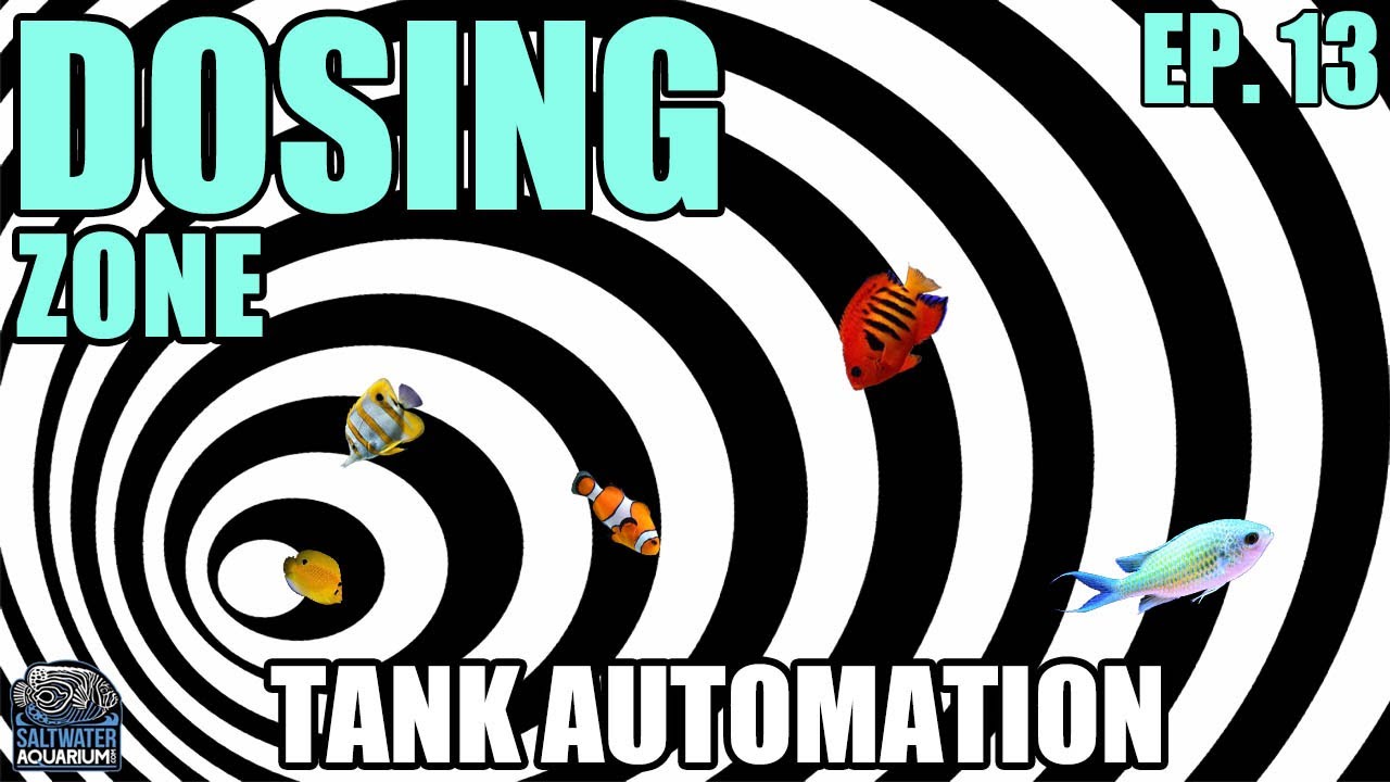 DIALING In Your REEF TANK Dosing with Calcium, Alkalinity & Magnesium - Tank Automation