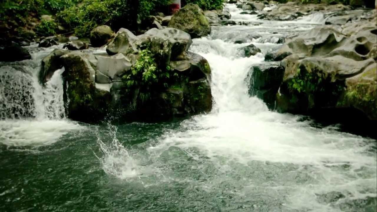 Explore the Happiness of Nature
