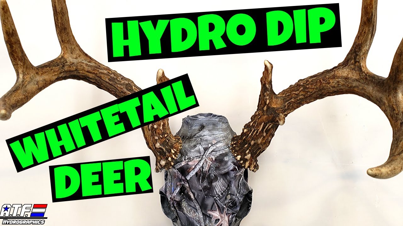 HYDRO DIP WHITETAIL DEER SKULL MOUNT - Proveil Camo