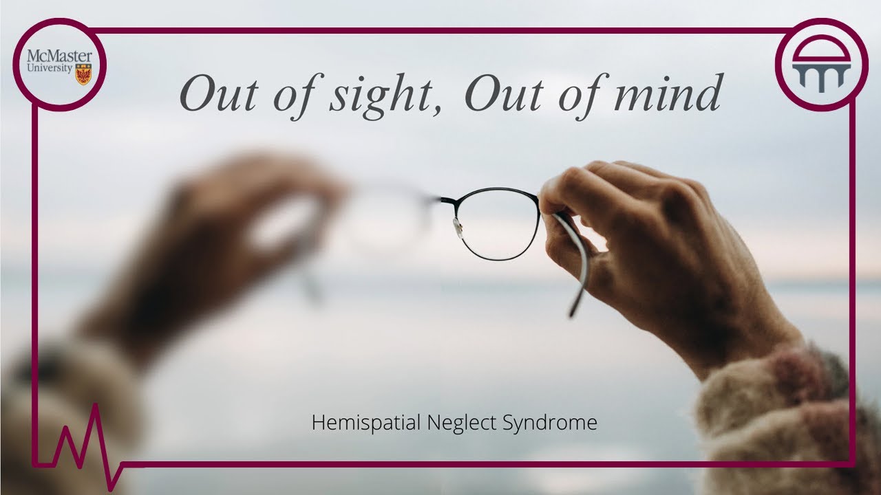 Out of Sight, Out of Mind: Living with Hemispatial Neglect Syndrome