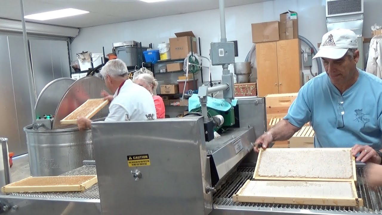 Processing over 200 gallons of honey in our honey house