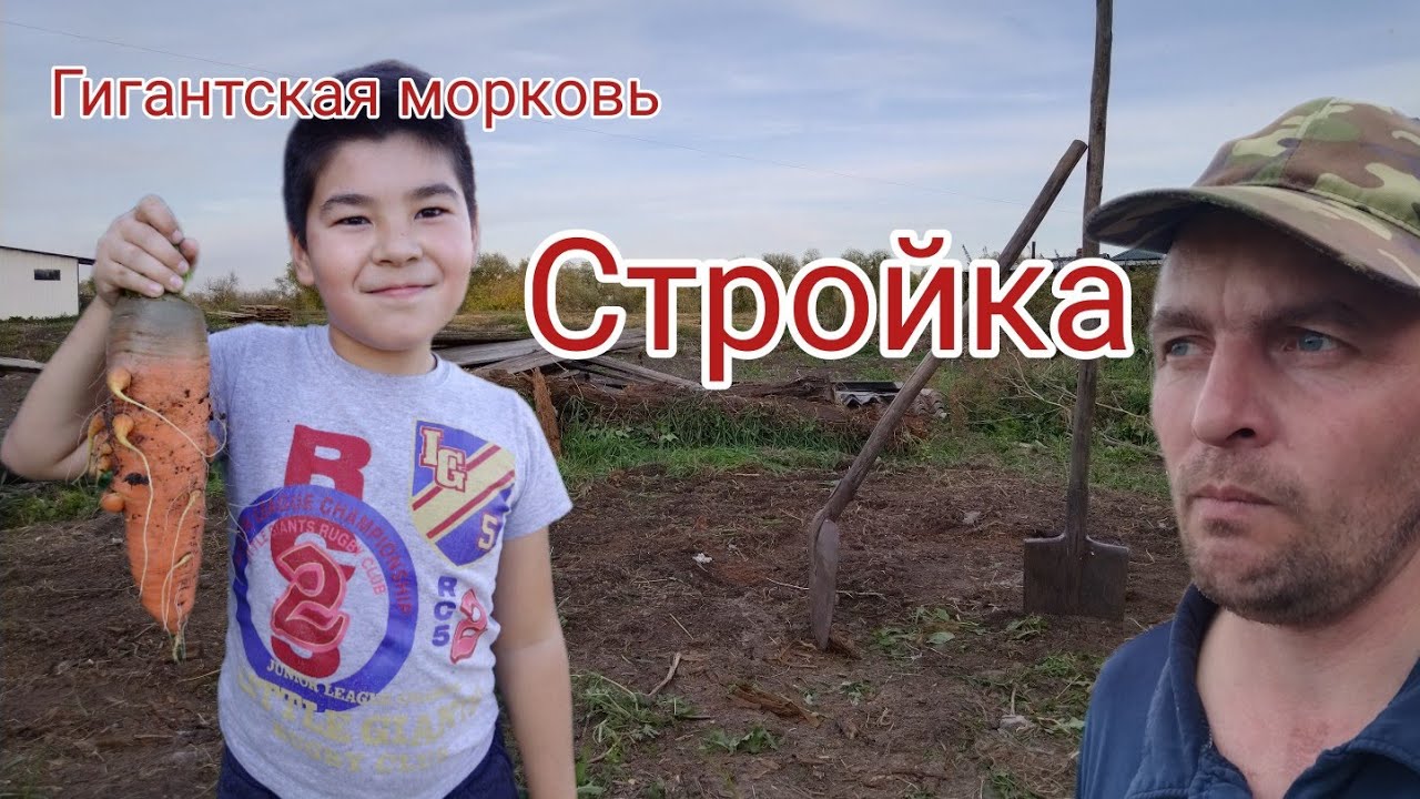 Строим дровник!... Расчистка территории...  День первый.