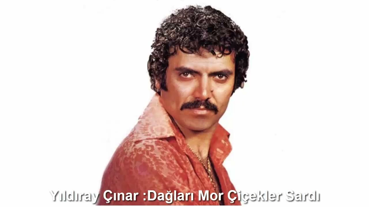 YILDIRAY ÇINAR : DAĞLARI MOR ÇİÇEKLER SARDI