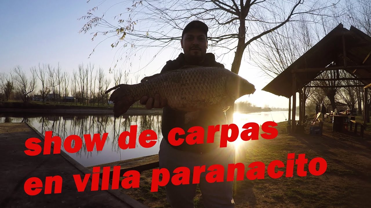 SHOW DE CARPAS EN VILLA PARANACITO//PESCA CON AMIGOS 2021/PESCA EN ENTRE RIOS/PESCA 2021//..