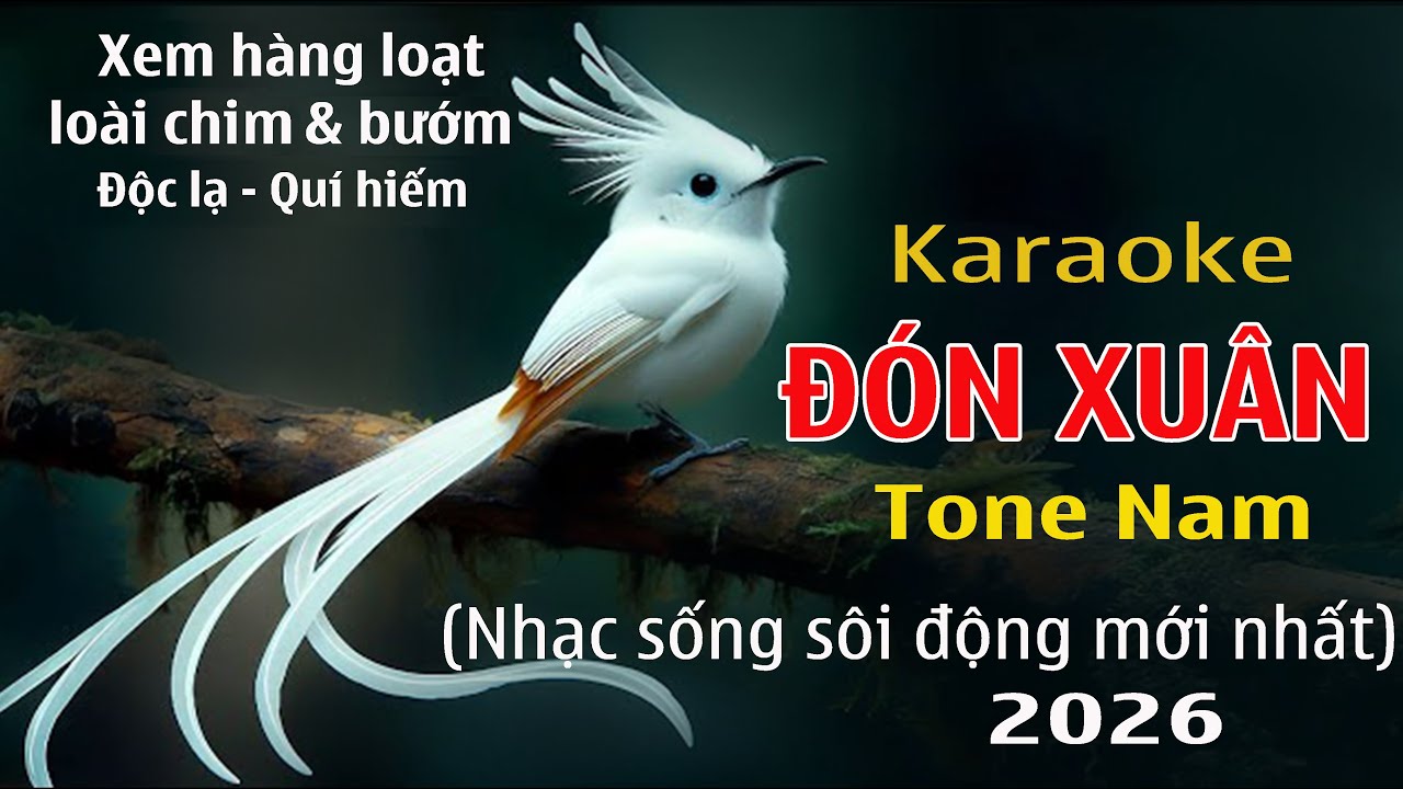 Karaoke Đón Xuân - Nhạc beat phối mới chất lượng cao 2026 sôi động.