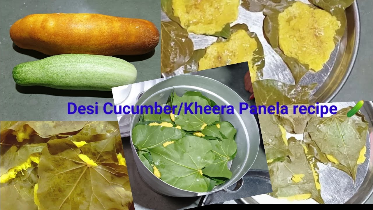 Desi Cucumber 🥒/ Kheera Panela recipe by Village girl.