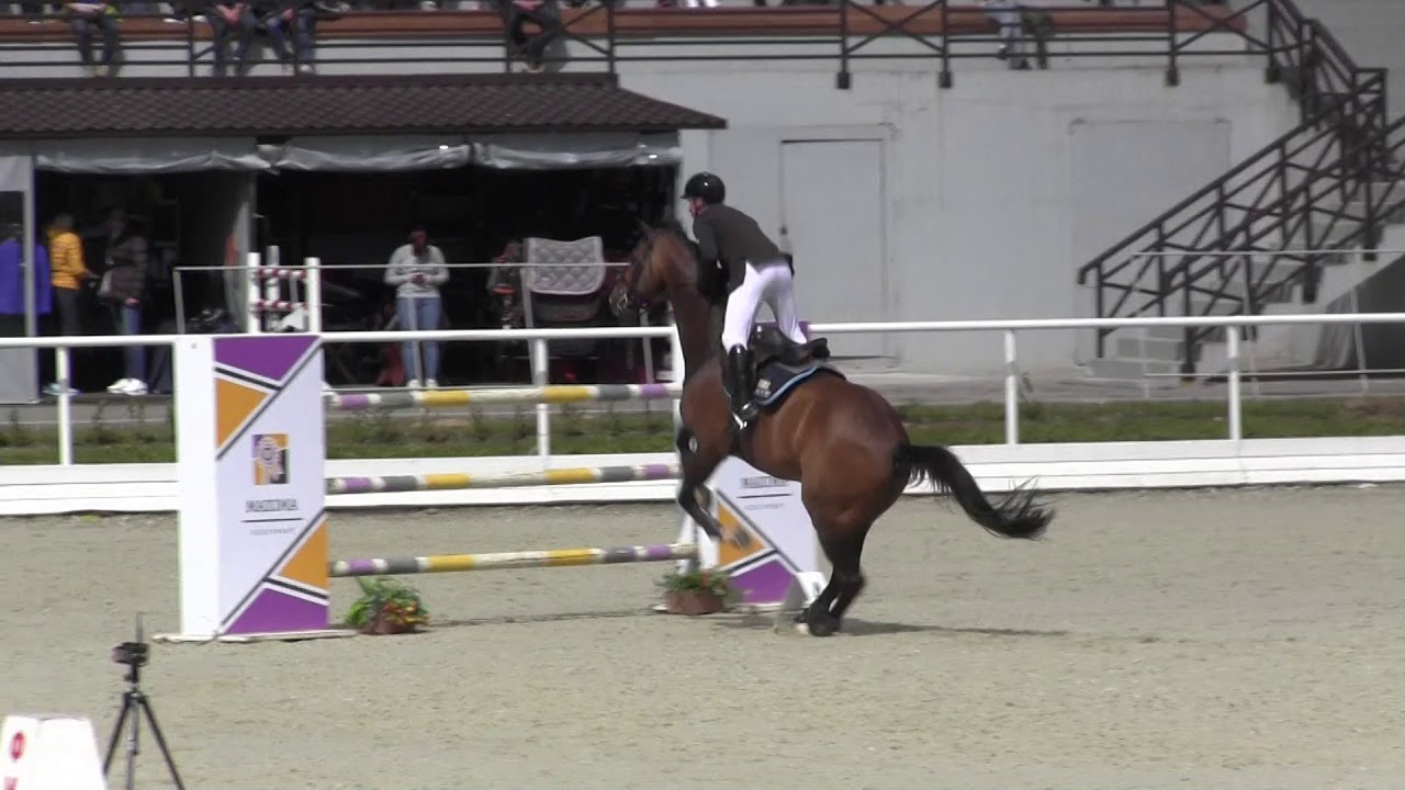 MaximaStables, CSI 2*, Командный Чемпионат, Гран-При 145см  Чаптер