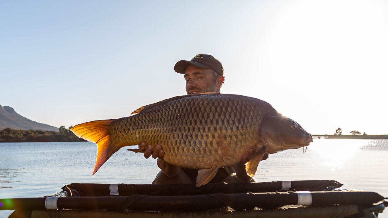 Monster Carp Series - Volume 2 @ Hartbeespoort Dam